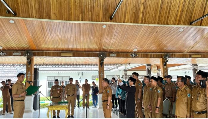 Mhd Fadhil Arief, Melantik Mula P Rambe Jadi Pj Sekda Kabupaten Batanghari 