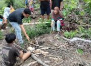 Gempar…..!!! Warga Simpang Jelutih Temukan Sesosok Mayat Yang Telah Jadi Tengkorak