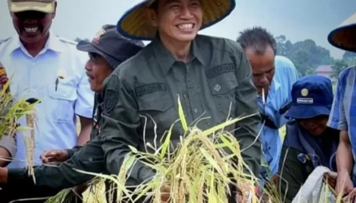 Program Batang Hari Swasembada Pangan Lewat Teknologi dan Inovasi, Fadhil Arief Sasar Petani Muda