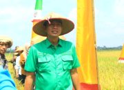 Bupati Batang Hari Mhd. Fadhil Arief Menghadiri Panen Raya dan Percepatan Tanam IP-2 Tahun 2025 di Desa Terusan