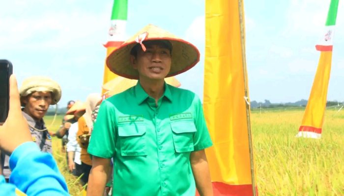 Bupati Batang Hari Mhd. Fadhil Arief Menghadiri Panen Raya dan Percepatan Tanam IP-2 Tahun 2025 di Desa Terusan