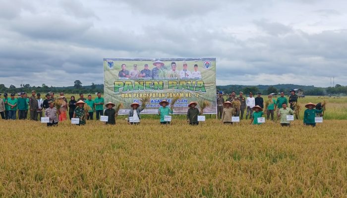 Bupati Mhd. Fadhil Arief Panen Raya dan percepatan Tanam Ke 2 di Desa Pasar Terusan