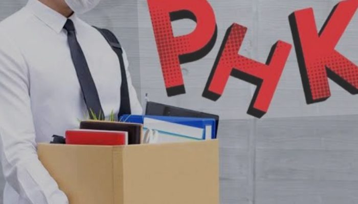 Dinas Tenaga Kerja Pemkab Batang Hari Ungkap Penyebab 20 Pekerja Kena PHK