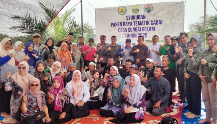 BUMDES Sungai Gelam Melaksanakan Panen Raya Tanaman Cabai di RT 19 Bersama Gabungan Kelompok Tani (Gapoktan)