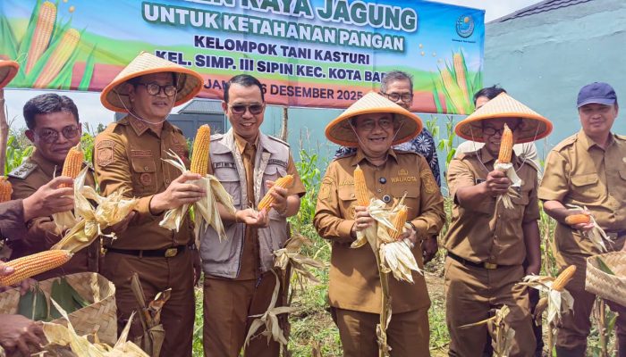 Panen Jagung Pakan Bersama Kelompok Tani Kasturi, Maulana: Contoh Inovasi Ketahanan Pangan Perkotaan