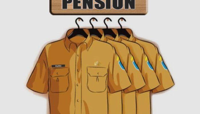 183 Orang ASN Pemerintah Kabupaten Batang Hari Memasuki Masa Pensiun Desember ini, 2 Orang  ASN Ajukan Pensiun Dini