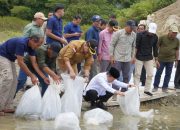 Gubernur Jambi Tinjau Langsung Bendungan PLTA Danau Kerinci, Lepas 10.000 Benih Ikan dan Apresiasi Kemandirian SMK-SPP Negeri 3 Kerinci   