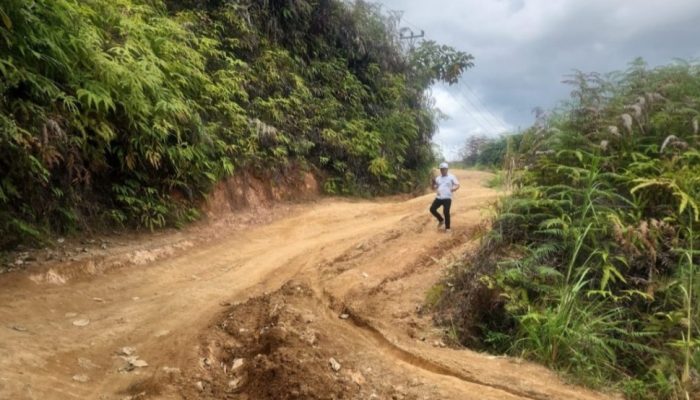 Komitmen Gubernur Jambi Melalui Dinas PUPR Jambi Targetkan Perbaikan Jalan Ranah Pemetik Kerinci Mulai April 2026