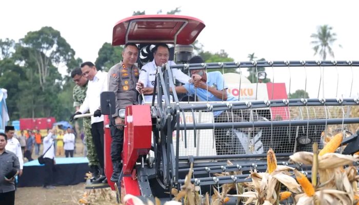 Dukung Swasembada 2026, Polda Sumsel Gelar Panen Raya Jagung Serentak
