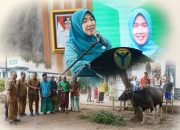 Hj. Hesnidar Haris Serahkan Hewan Kurban untuk Masyarakat Batang Hari dan Muaro Jambi