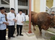Gubernur Al Haris Serahkan Bantuan Sapi Kurban Presiden Prabowo di Islamic Center Jambi