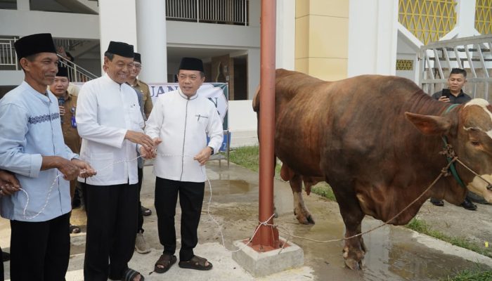 Gubernur Al Haris Serahkan Bantuan Sapi Kurban Presiden Prabowo di Islamic Center Jambi
