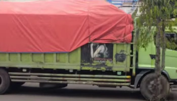 Over Tonase, 4 Truk Batu Bara Melintas Bebas di Simpang BBC Batang Hari Di Sore Hari