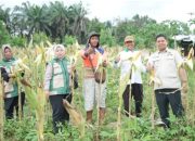 DPRD Kota Jambi Apresiasi Produktivitas Petani Tunas Jaya