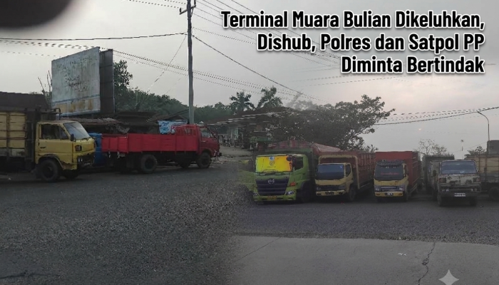 Terminal Muara Bulian Dikeluhkan, Dishub, Polres dan Satpol PP Diminta Bertindak