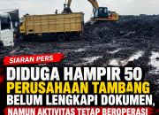 DIDUGA HAMPIR 50 PERUSAHAAN STOVILE DAN TAMBANG BELUM LENGKAPI DOKUMEN, NAMUN AKTIVITAS TETAP BEROPERASI DI BATANG HARI