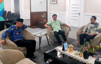 Bupati Fadhil Arief Koordinasi dengan Kepala BKN RI, Perkuat Penerapan Manajemen Talenta ASN Batang Hari