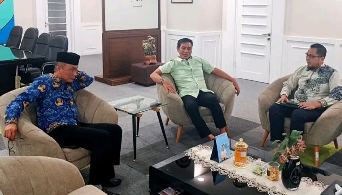 Bupati Fadhil Arief Koordinasi dengan Kepala BKN RI, Perkuat Penerapan Manajemen Talenta ASN Batang Hari