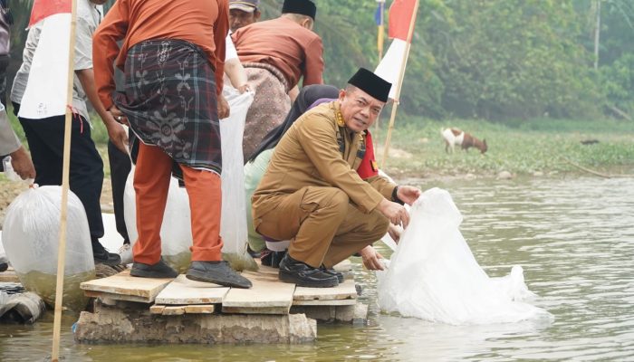 Gubernur Al Haris Restocking 25.000 Benih Ikan Nilem di Lubuk Larangan Danau Sibuk Kabupaten Bungo